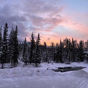 Meet your Posher, Olha